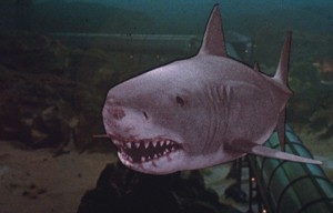 Great White Shark from Jaws III 1 Great White Shark from Jaws III 1