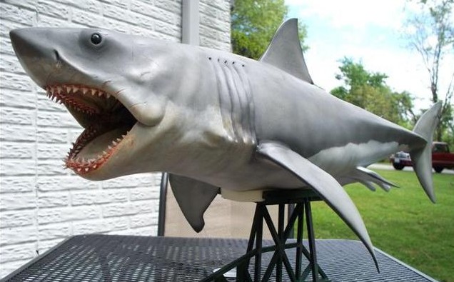 sharks 3d windows 10