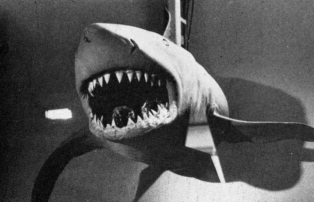 Jaws 3D » Blog Archive » The Exploding Shark! (1/2)